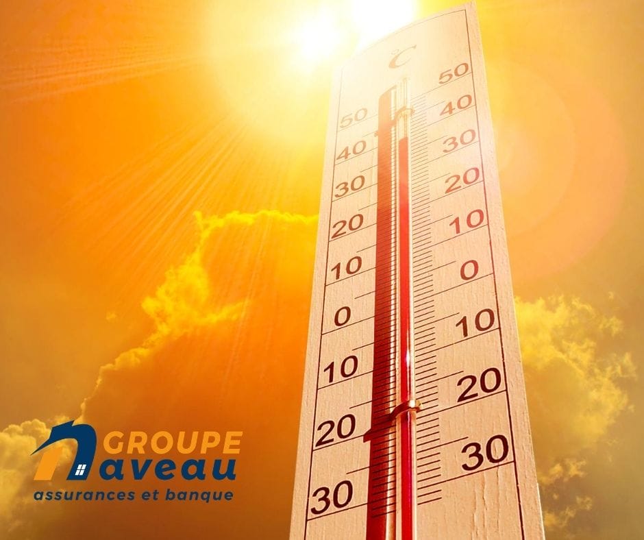 conseils canicule